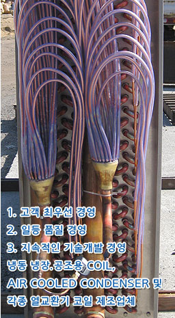 Image for